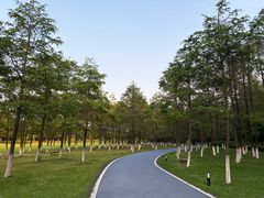 -宜兴龙背山森林公园
