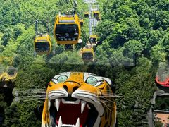 -栾川竹海野生动物园