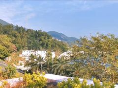 -新金盛·海鲜酒楼(盐田店)