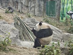 -武汉动物园