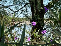 -昆山城市生态森林公园