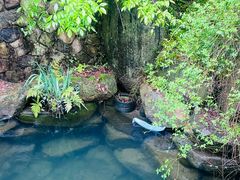 -杭州植物园