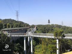 -仙岳公园