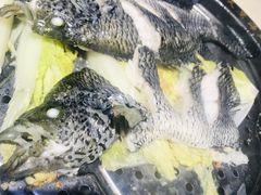 -天鹰观渔(梦园店)