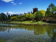 -东郊湿地公园