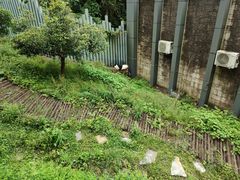 -黔灵山公园