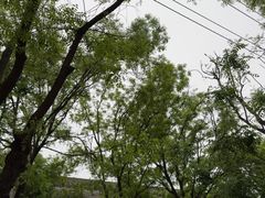-原乡故事里海鲜大餐(玉祥门北马道巷店)