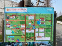 -前小桔亲子创意农场·草莓采摘·露营烧烤