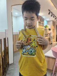 -Moni星球萌宠·小马宝莉·灵蛇·高端高阶全萌宠互动体验俱乐部(红豆国际广场店)