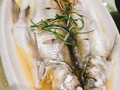 清蒸鲜白鱼-锡和无锡菜(景丽苑店)
