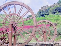 -广州市石门国家森林公园