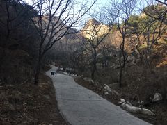 -大芦花风景区