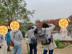 -白鹭湾湿地公园