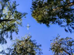 -春花秋色城市公园