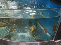 -王家渡火锅店(棕榈泉店)