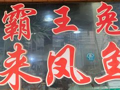 -东吴霸王兔(松青路店)