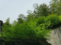 -兰亭风景区