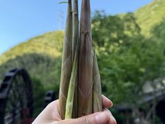 -长谷洞天