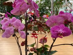 -兰陵国家农业公园