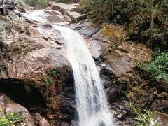 -九龙江国家森林公园