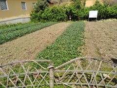 -重元寺香积厨素斋馆