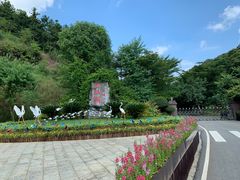 -广州白江湖森林公园