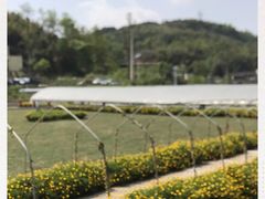 -普迪生态园