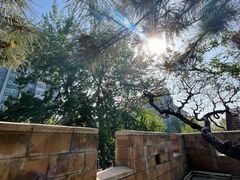 -元大都城垣遗址公园