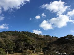 -汉拿树木园
