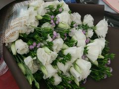 -秦美花卉(天朗·莱茵小城2期店)