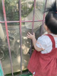 -萌宠亲子动物乐园(槐房万达店)