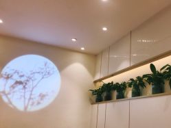 -TTNAIL天天美甲