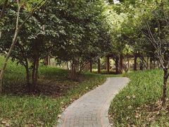 -徐家汇源景区-衡山公园