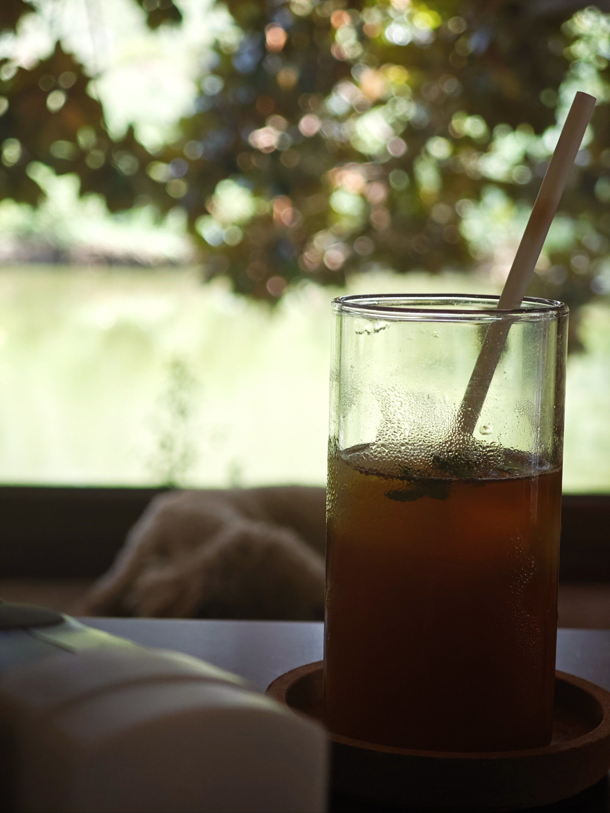 和皮皮对话的沉静式夏日午后