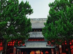 -秋霞圃