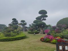 -南宁南湖公园