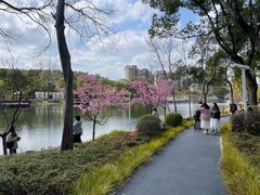 -新江湾城公园