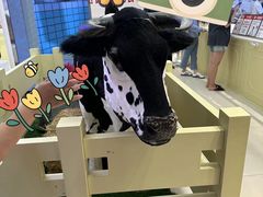 -红星前进面包牛奶公司(君太店)