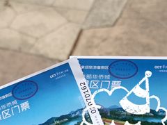 门票-东部华侨城