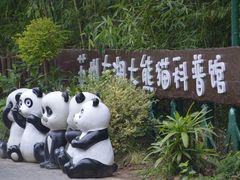 -苏州太湖国家湿地公园