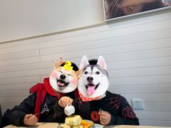 -王守财小山園