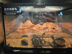 -太平洋海底世界