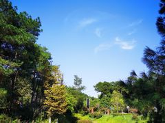 -铁山坪森林公园