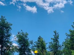 -敕勒川草原