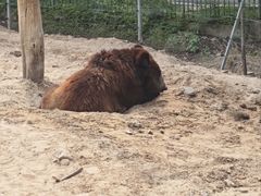 -秦皇岛野生动物园
