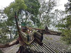 -青城山