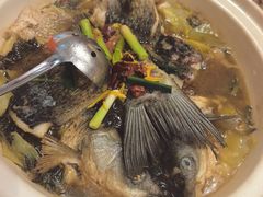 -龙悦湾酒家·八阵鱼生·渔人码头店