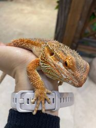 -酷嗒动物文化乐园(cutezoo西溪乐天城店)