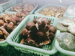 -野菌园·野生菌火锅首创第一家(关兴路总店)