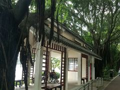 -南宁南湖公园